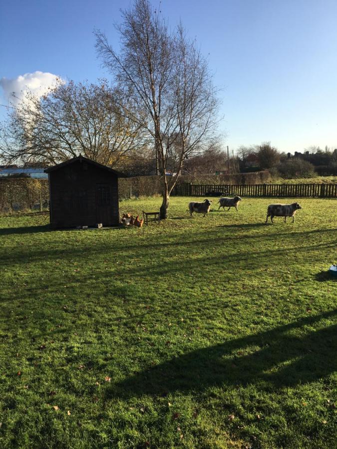 The Barn Bed And Breakfast Hale  外观 照片